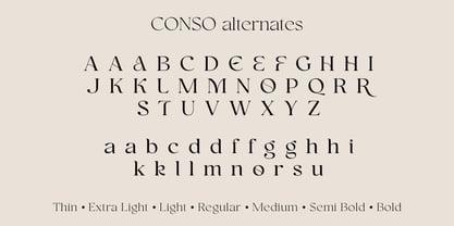 Conso Serif Font Poster 15