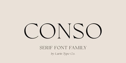 Conso Serif Police Poster 1