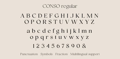 Conso Serif Fuente Póster 14