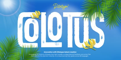 Colotus Font Poster 1