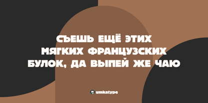 Umka Bear Font Poster 9