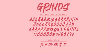 GRINdS Font Poster 11