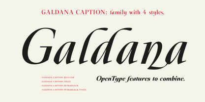 Galdana Caption Font Poster 3