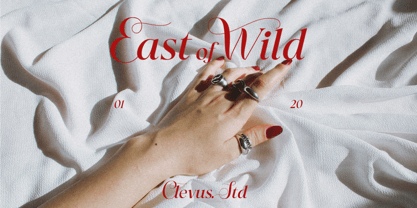 East of Wild Font Poster 12
