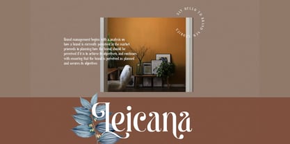 Begova Font Poster 4