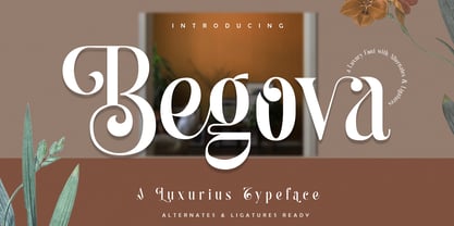 Begova Font Poster 1