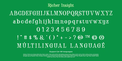 Richer insight Font Poster 10