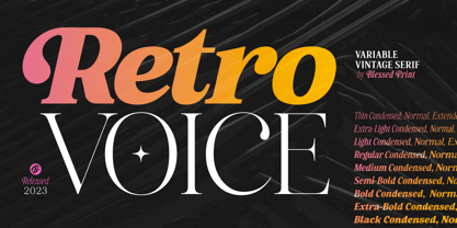 Retro Voice Font Poster 1