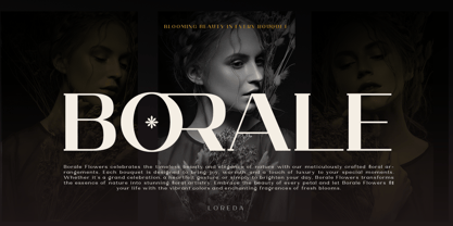 Loreda Font Poster 5