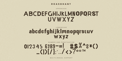 Roasghant Duo Font Poster 9