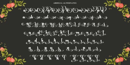 Ardelia Font Poster 9