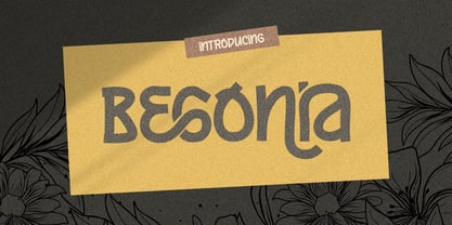 Begonia Font Poster 1