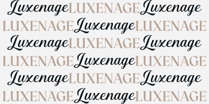 Luxenage Police Poster 14