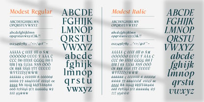 Modest Font Poster 11