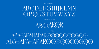 Cisnero Font Poster 7