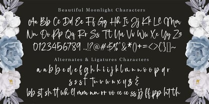 Beautiful Moonlight Font Poster 3
