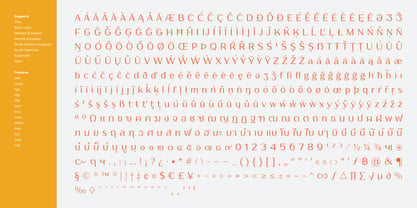 Puipui Font Poster 14