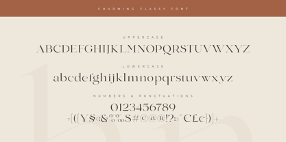 Charming Font Poster 12