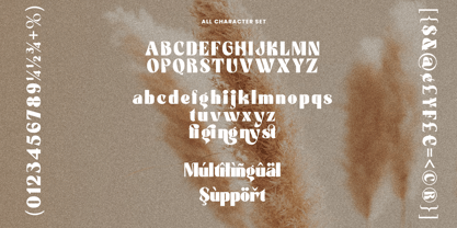 Blustery Font Poster 11