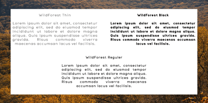 WildForest Font Poster 13
