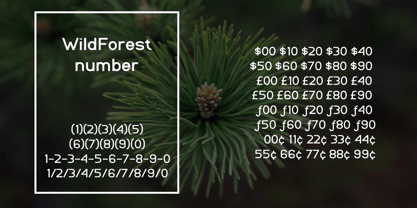 WildForest Font Poster 5
