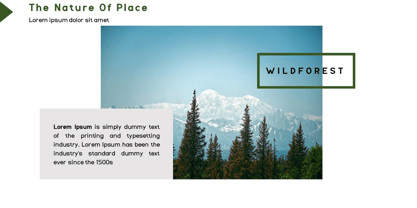 WildForest Font Poster 12