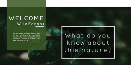 WildForest Font Poster 3