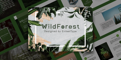 WildForest Font Poster 1