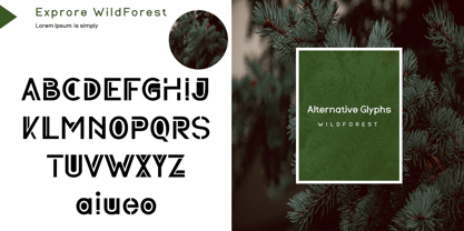 WildForest Font Poster 4