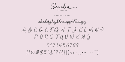 Senolia Font Poster 9