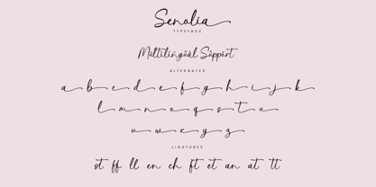 Senolia Font Poster 10