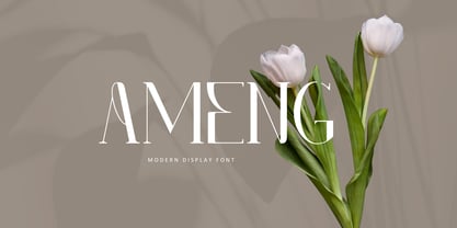 Ameng Font Poster 1