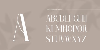 Ameng Font Poster 7