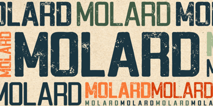 Molard Two Font Poster 1