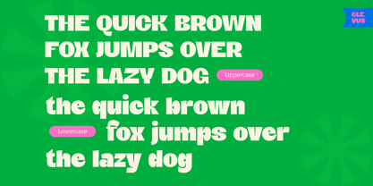 Woobly Font Poster 11