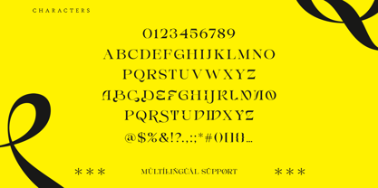 Erakov Font Poster 8