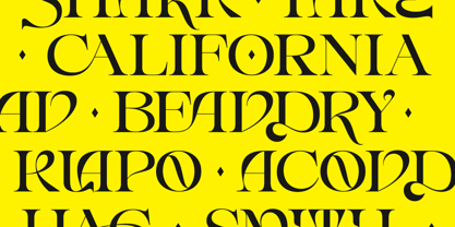 Erakov Font Poster 7