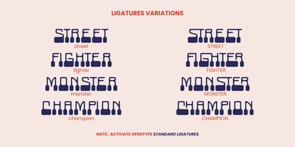 Chamyvibes Font Poster 11