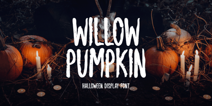 Willow Pumpkin Font Poster 1