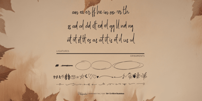 Bellofandia Font Poster 10