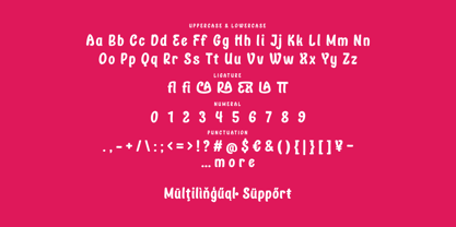 Raphela Font Poster 9