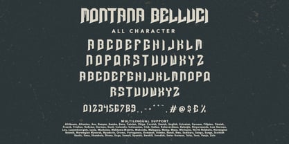 Montana Belluci Font Poster 7