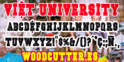 Viet University Font Poster 3