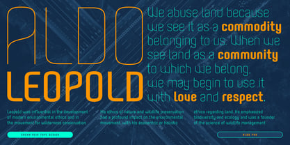 Aldo Pro Font Poster 5