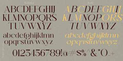 Lofty Chic Font Poster 5