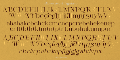 Lofty Chic Font Poster 14