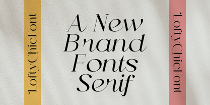 Lofty Chic Font Poster 11
