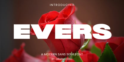 Evers Font Poster 1