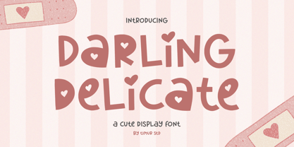 Darling Delicate Font Poster 1