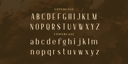 Essentials Font | Webfont & Desktop | MyFonts